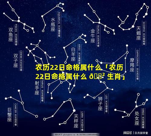 农历22日命格属什么「农历22日命格属什么 🌲 生肖」